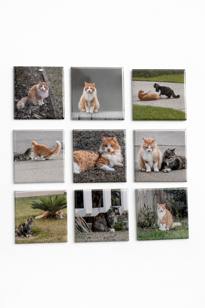 Set of 9 Custom 2 x 2 Photo Magnets