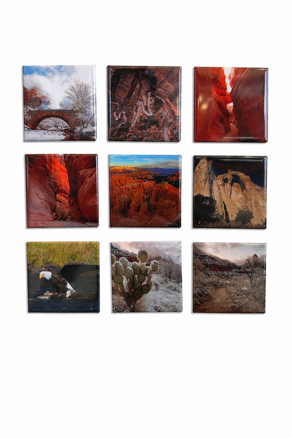 Set of 9 Custom 2 x 2 Photo Magnets
